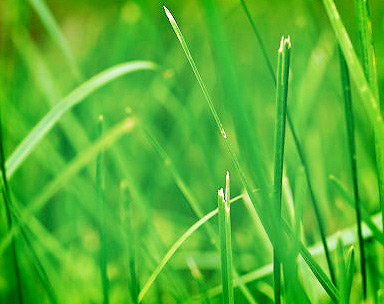 智能预警系统的电话验证码轰炸免费